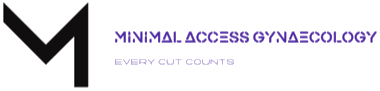 Minimally Invasive Gynaecology